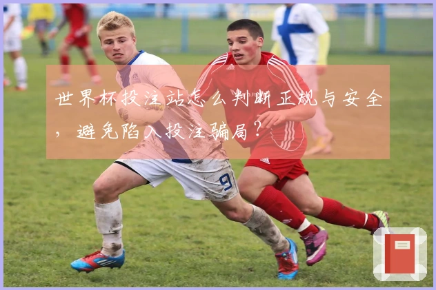 世界杯投注站怎么判断正规与安全，避免陷入投注骗局？