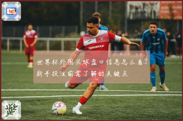 世界杯外围买球盘口信息怎么看？新手投注前需了解的关键点
