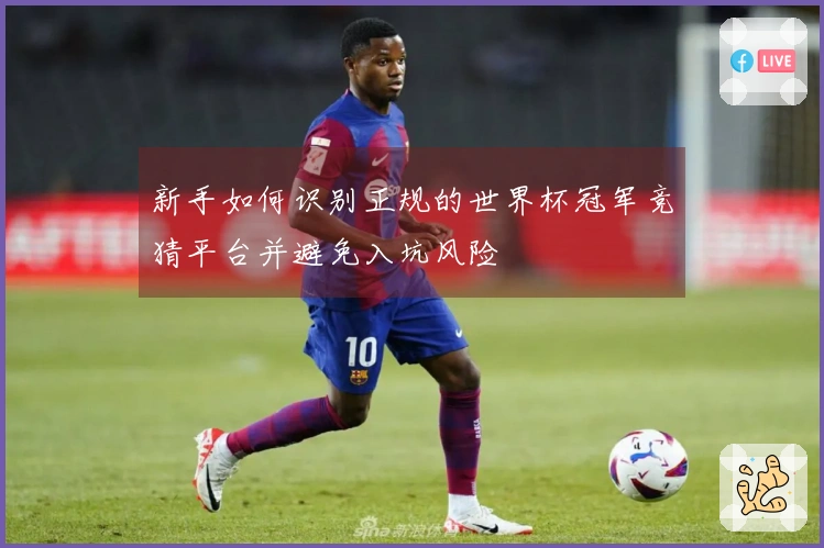 新手如何识别正规的世界杯冠军竞猜平台并避免入坑风险