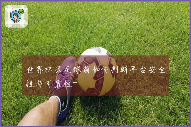 世界杯买足球前如何判断平台安全性与可靠性-