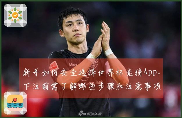 新手如何安全选择世界杯竞猜App，下注前需了解哪些步骤和注意事项