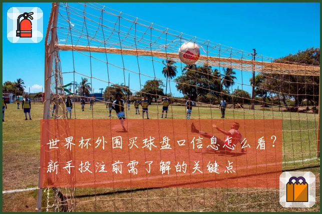 世界杯外围买球盘口信息怎么看？新手投注前需了解的关键点