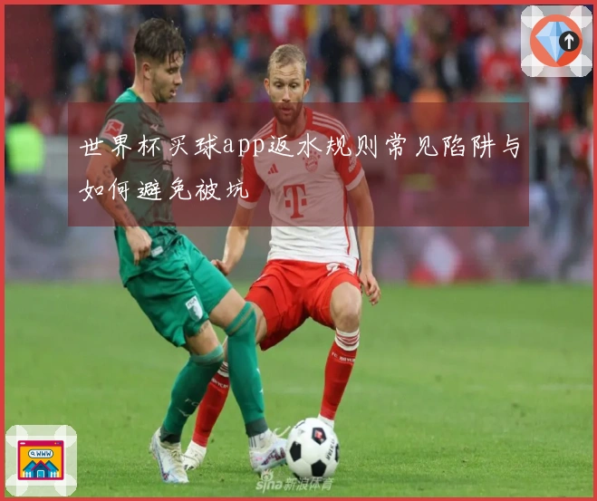 世界杯买球app返水规则常见陷阱与如何避免被坑