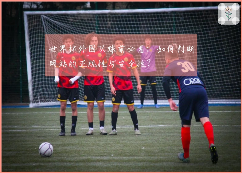 世界杯外围买球前必看:如何判断网站的正规性与安全性?