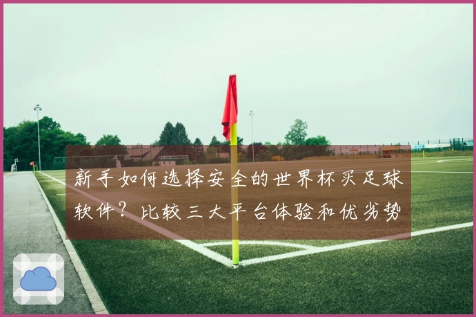 新手如何选择安全的世界杯买足球软件？比较三大平台体验和优劣势