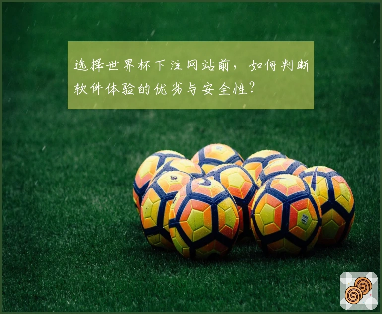 选择世界杯下注网站前，如何判断软件体验的优劣与安全性？
