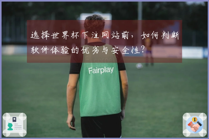 选择世界杯下注网站前，如何判断软件体验的优劣与安全性？