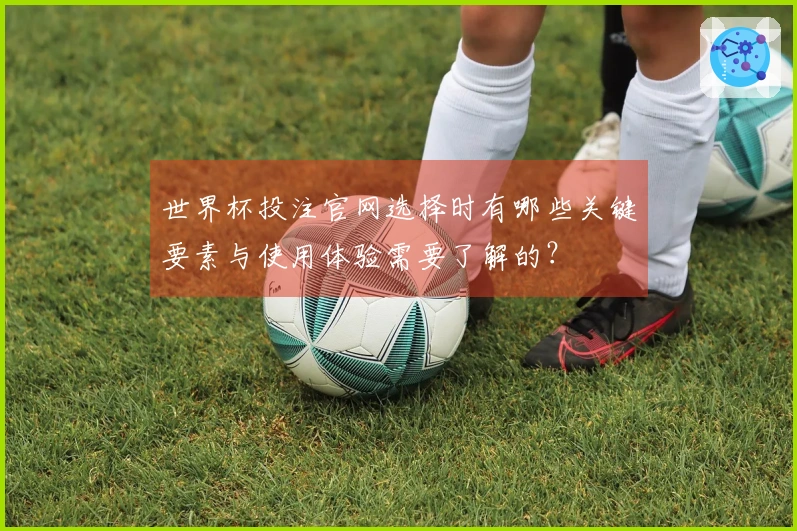 世界杯投注官网选择时有哪些关键要素与使用体验需要了解的？