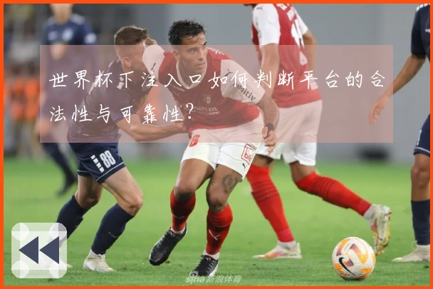 世界杯下注入口如何判断平台的合法性与可靠性？