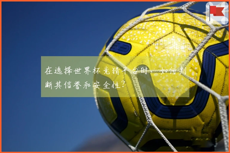 在选择世界杯竞猜平台时，如何判断其信誉和安全性？