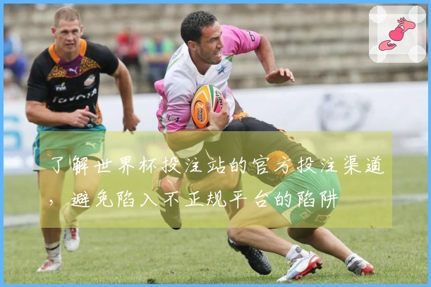 了解世界杯投注站的官方投注渠道，避免陷入不正规平台的陷阱