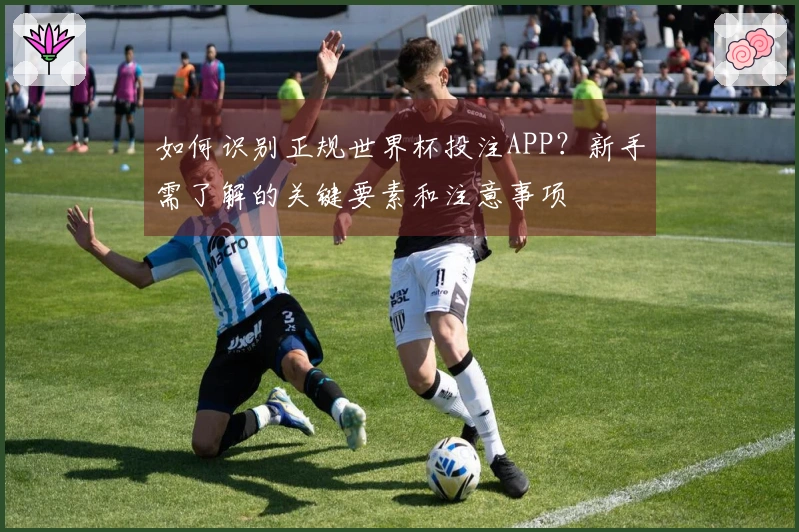 如何识别正规世界杯投注APP？新手需了解的关键要素和注意事项