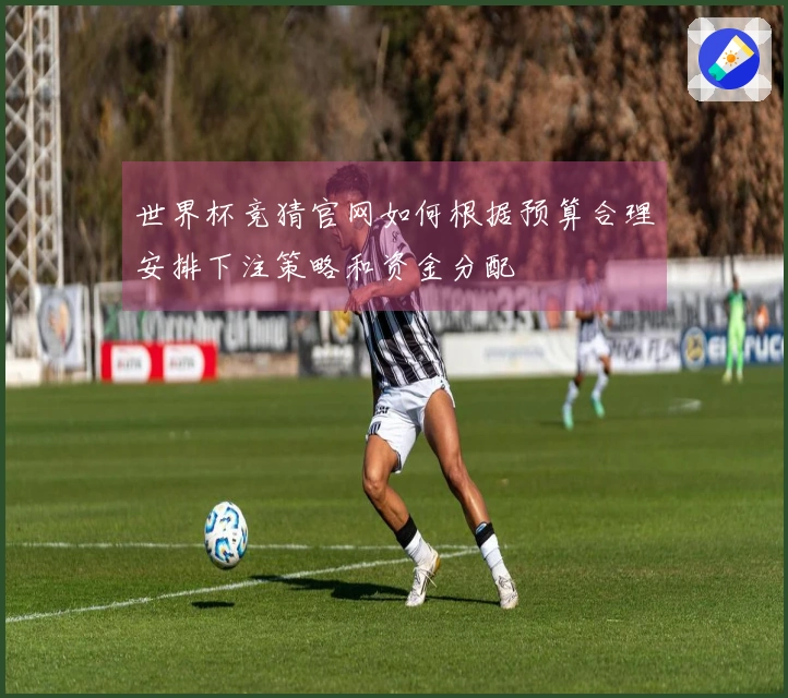 世界杯竞猜官网如何根据预算合理安排下注策略和资金分配