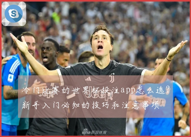 冷门比赛的世界杯投注app怎么选？新手入门必知的技巧和注意事项