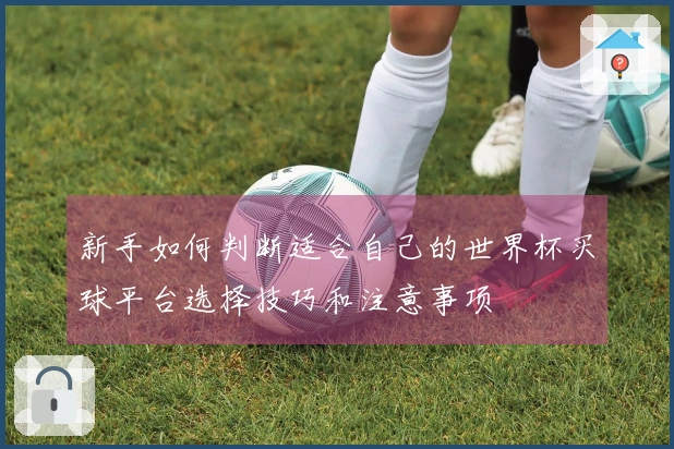 新手如何判断适合自己的世界杯买球平台选择技巧和注意事项