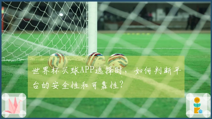 世界杯买球APP选择时，如何判断平台的安全性和可靠性？