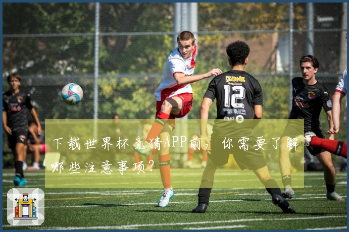 下载世界杯竞猜APP前，你需要了解哪些注意事项？