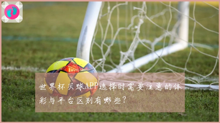 世界杯买球APP选择时需要注意的体彩与平台区别有哪些？