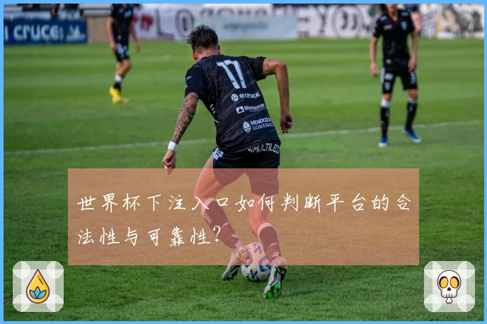 世界杯下注入口如何判断平台的合法性与可靠性？