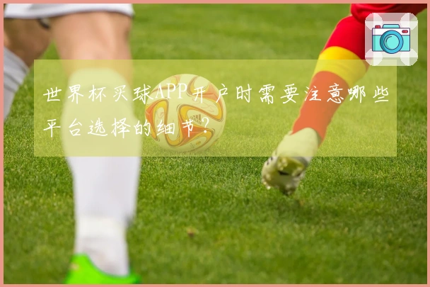 世界杯买球APP开户时需要注意哪些平台选择的细节？