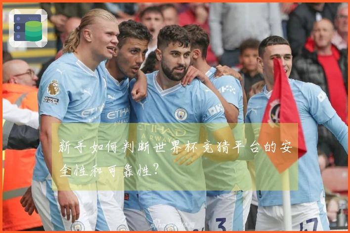 新手如何判断世界杯竞猜平台的安全性和可靠性？