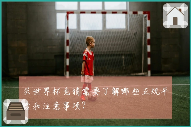 买世界杯竞猜需要了解哪些正规平台和注意事项？