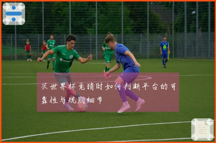 买世界杯竞猜时如何判断平台的可靠性与规则细节