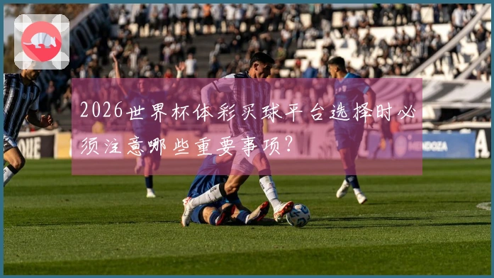 2026世界杯体彩买球平台选择时必须注意哪些重要事项？
