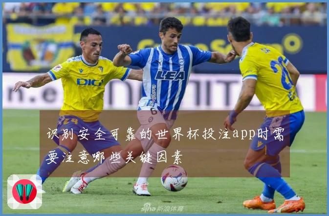 识别安全可靠的世界杯投注app时需要注意哪些关键因素