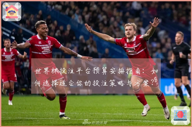 世界杯投注平台预算安排指南：如何选择适合你的投注策略与方案？