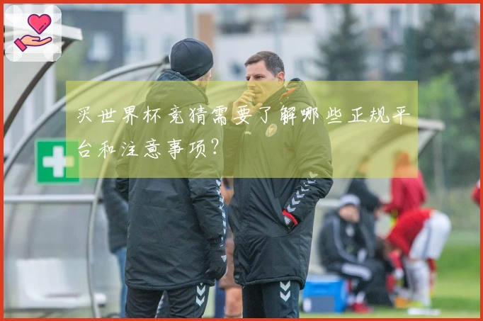 买世界杯竞猜需要了解哪些正规平台和注意事项？