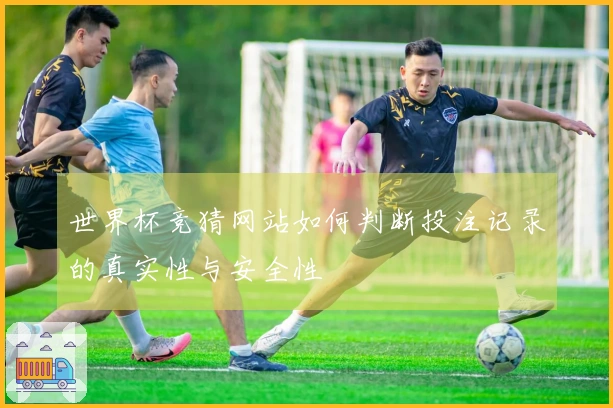 世界杯竞猜网站如何判断投注记录的真实性与安全性
