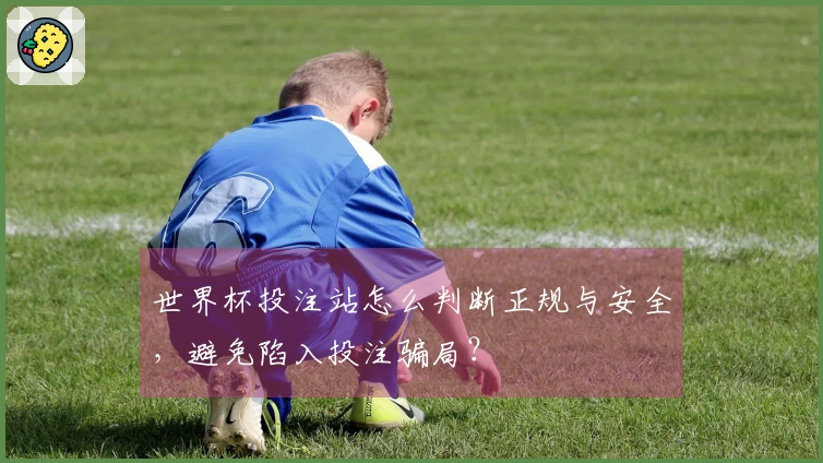 世界杯投注站怎么判断正规与安全，避免陷入投注骗局？