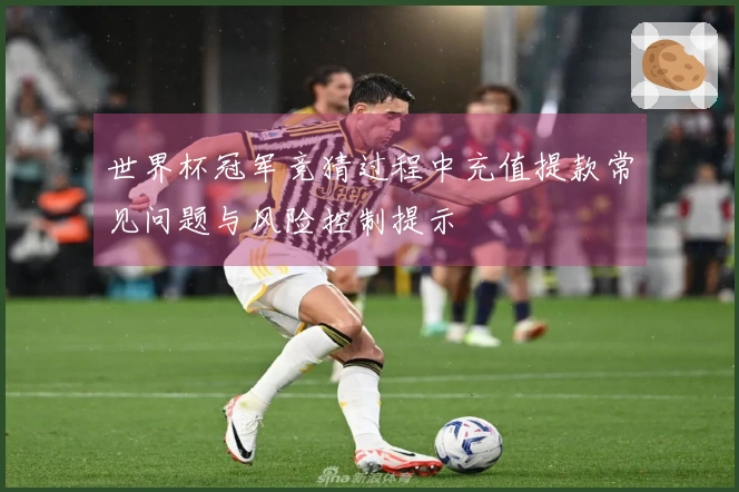 世界杯冠军竞猜过程中充值提款常见问题与风险控制提示